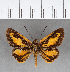  ( - CFC07323)  @11 [ ] Copyright (2018) Christer Fahraeus Center For Collection-Based Research