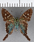  ( - CFC07328)  @13 [ ] Copyright (2018) Christer Fahraeus Center For Collection-Based Research