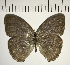  ( - CFC07394)  @11 [ ] Copyright (2018) Christer Fahraeus Center For Collection-Based Research