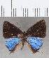  ( - CFC00074)  @11 [ ] copyright (2020) Christer Fahraeus Center For Collection-Based Research