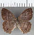  ( - CFC07427)  @11 [ ] copyright (2020) Christer Fahraeus Center For Collection-Based Research