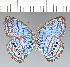  ( - CFC07428)  @11 [ ] copyright (2022) Center For Collection-Based Research Center For Collection-Based Research