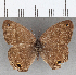  ( - CFC07482)  @11 [ ] copyright (2020) Christer Fahraeus Center For Collection-Based Research