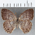  ( - CFC07499)  @11 [ ] copyright (2020) Christer Fahraeus Center For Collection-Based Research