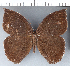  ( - CFC07543)  @11 [ ] Copyright (2018) Christer Fahraeus Center For Collection-Based Research