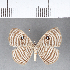  ( - CFC07560)  @11 [ ] Copyright (2018) Christer Fahraeus Center For Collection-Based Research