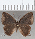  ( - CFC00757)  @11 [ ] copyright (2020) Christer Fahraeus Center For Collection-Based Research