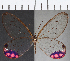  ( - CFC07719)  @11 [ ] Copyright (2019) Christer Fahraeus Center For Collection-Based Research