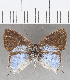  ( - CFC07764)  @11 [ ] Copyright (2019) Christer Fahraeus Center For Collection-Based Research