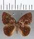  ( - CFC07775)  @11 [ ] Copyright (2019) Christer Fahraeus Center For Collection-Based Research