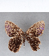  ( - CFC07790)  @11 [ ] Copyright (2018) Christer Fahraeus Center For Collection-Based Research
