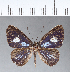  ( - CFC07908)  @11 [ ] Copyright (2018) Christer Fahraeus Center For Collection-Based Research