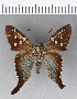  ( - CFC07914)  @13 [ ] Copyright (2018) Christer Fahraeus Center For Collection-Based Research