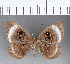  ( - CFC07980)  @11 [ ] Copyright (2018) Christer Fahraeus Center For Collection-Based Research