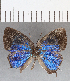  ( - CFC00805)  @12 [ ] Copyright (2019) Christer Fahraeus Center For Collection-Based Research