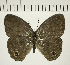  ( - CFC08177)  @11 [ ] Copyright (2018) Christer Fahraeus Center For Collection-Based Research