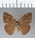  ( - CFC00841)  @11 [ ] Copyright (2018) Christer Fahraeus Center For Collection-Based Research