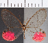  ( - CFC08418)  @11 [ ] Copyright (2019) Christer Fahraeus Center For Collection-Based Research