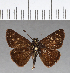  ( - CFC08486)  @11 [ ] Copyright (2018) Christer Fahraeus Center For Collection-Based Research