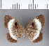  ( - CFC08505)  @11 [ ] Copyright (2018) Christer Fahraeus Center For Collection-Based Research