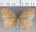  ( - CFC08546)  @11 [ ] copyright (2021) Center For Collection-Based Research Center For Collection-Based Research