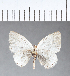  ( - CFC08660)  @11 [ ] Copyright (2018) Christer Fahraeus Center For Collection-Based Research