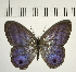  ( - CFC00871)  @11 [ ] Copyright (2018) Christer Fahraeus Center For Collection-Based Research