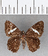  ( - CFC08751)  @13 [ ] Copyright (2018) Christer Fahraeus Center For Collection-Based Research