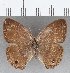  ( - CFC08767)  @11 [ ] copyright (2020) Christer Fahraeus Center For Collection-Based Research