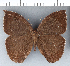  ( - CFC08881)  @11 [ ] Copyright (2018) Christer Fahraeus Center For Collection-Based Research