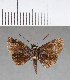  ( - CFC08888_2)  @12 [ ] Copyright (2019) Christer Fahraeus Center For Collection-Based Research