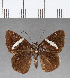  ( - CFC08903)  @13 [ ] Copyright (2018) Christer Fahraeus Center For Collection-Based Research
