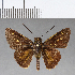  ( - CFC08913_2)  @11 [ ] Copyright (2019) Christer Fahraeus Center For Collection-Based Research
