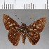  ( - CFC08923)  @11 [ ] Copyright (2018) Christer Fahraeus Center For Collection-Based Research