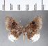  ( - CFC08967)  @11 [ ] Copyright (2018) Christer Fahraeus Center For Collection-Based Research