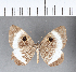  ( - CFC08973)  @11 [ ] Copyright (2018) Christer Fahraeus Center For Collection-Based Research