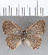  ( - CFC09148)  @13 [ ] Copyright (2019) Christer Fahraeus Center For Collection-Based Research
