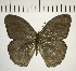  ( - CFC09221)  @11 [ ] Copyright (2018) Christer Fahraeus Center For Collection-Based Research