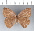  ( - CFC09227)  @11 [ ] Copyright (2018) Christer Fahraeus Center For Collection-Based Research