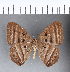  ( - CFC09387)  @11 [ ] Copyright (2018) Christer Fahraeus Center For Collection-Based Research