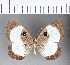  ( - CFC09391)  @11 [ ] Copyright (2018) Christer Fahraeus Center For Collection-Based Research