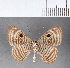  ( - CFC09459)  @11 [ ] Copyright (2018) Christer Fahraeus Center For Collection-Based Research