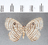  ( - CFC09650)  @11 [ ] Copyright (2018) Christer Fahraeus Center For Collection-Based Research