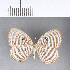 ( - CFC09657)  @11 [ ] Copyright (2018) Christer Fahraeus Center For Collection-Based Research