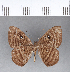  ( - CFC09660)  @11 [ ] Copyright (2018) Christer Fahraeus Center For Collection-Based Research