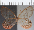  ( - CFC09704)  @11 [ ] Copyright (2019) Christer Fahraeus Center For Collection-Based Research