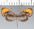  ( - CFC09706)  @11 [ ] copyright (2022) Center For Collection-Based Research Center For Collection-Based Research