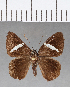  ( - CFC09850)  @13 [ ] Copyright (2018) Christer Fahraeus Center For Collection-Based Research