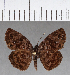  ( - CFC09851)  @14 [ ] Copyright (2018) Christer Fahraeus Center For Collection-Based Research