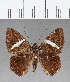  ( - CFC09865)  @13 [ ] Copyright (2018) Christer Fahraeus Center For Collection-Based Research
